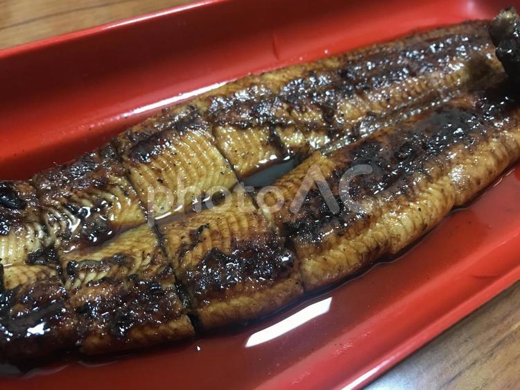 鰻の蒲焼き 鰻,蒲焼き,魚の写真素材