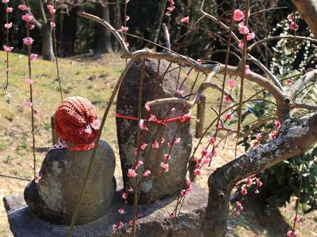 Jizo and plum, mr. jizo, plum, garden, JPG