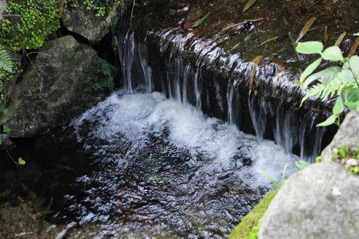 透明度の高い小川の写真 透明度の高い小川の写真の写真