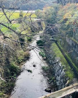 川　田舎の風景 川,田舎,田舎の風景の写真素材
