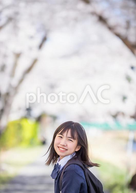 桜の下で微笑む学生 女子学生,学生,制服の写真素材