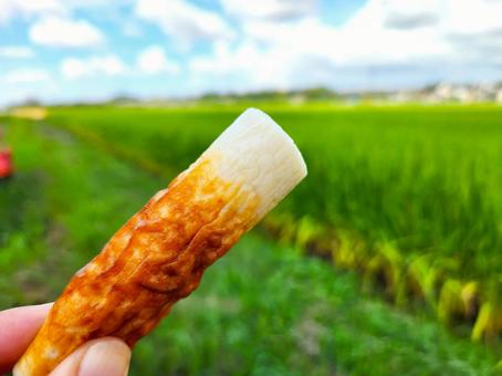 変わりだねバーベキュー 変わりだねバーベキュー バーベキュー,食材,変わり種の写真素材