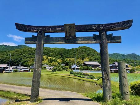 夏の神社 夏の神社 自然,風景,夏の写真素材