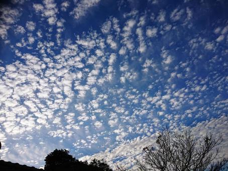 ひつじ雲 ひつじ雲の写真