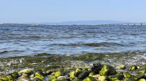 あの日 海,夏,波の写真素材
