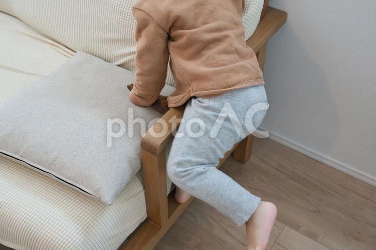ソファで遊ぶやんちゃな子供 ソファ,こども,危ないの写真素材