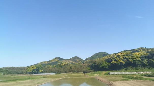 農地 農地 農地,田んぼ,田舎の写真素材