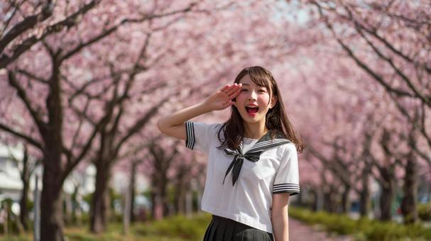 桜並木と敬礼ポーズ 桜並木と敬礼ポーズの写真