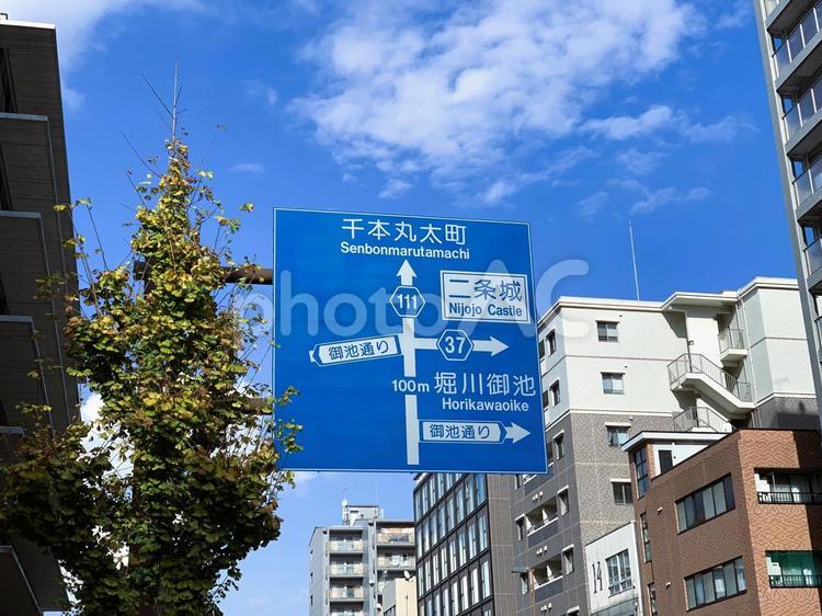 道路の案内標識（京都市・千本御池周辺） 道路標識,案内標識,標識の写真素材