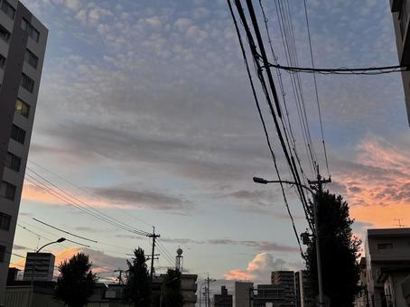 綺麗な夕焼け 綺麗な夕焼け 夕方,夕日,夕景の写真素材