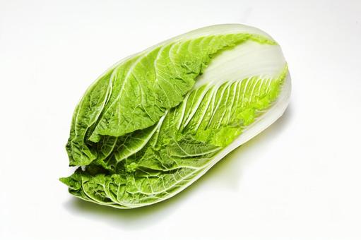 白菜7 白菜7 新鮮,野菜,生の写真素材