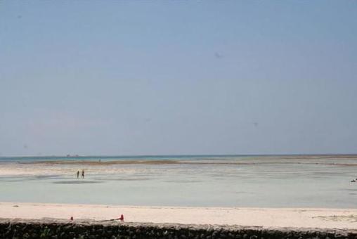 沖縄 海2 沖縄 海2の写真