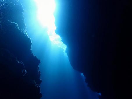 海底に差し込む朝日 シュノーケリング,魚,海の写真素材