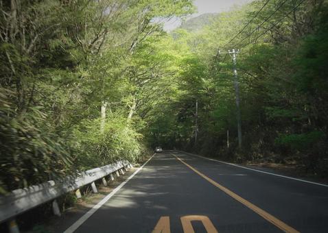 箱根路-11 箱根路,ドライブ,山間の道路の写真素材