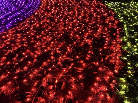 光り輝くイルミネーション テクスチャ,光,輝くの写真素材