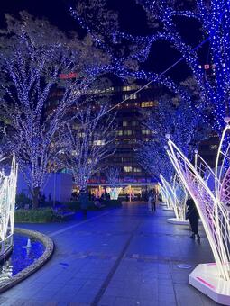 イルミネーション イルミネーション,ライト,ライトアップの写真素材