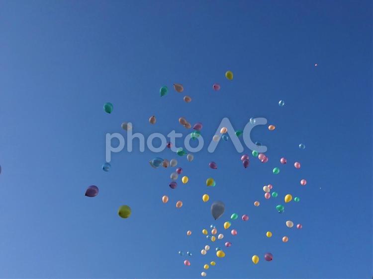 結婚式の風船 風船,バルーン,結婚式の写真素材