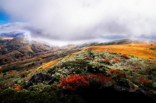 栗駒山 黄金色の草原と紅葉 栗駒山 黄金色の草原と紅葉の写真
