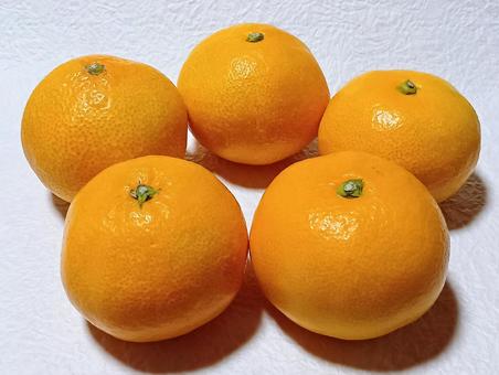 みかん みかん,果実,柑橘類の写真素材