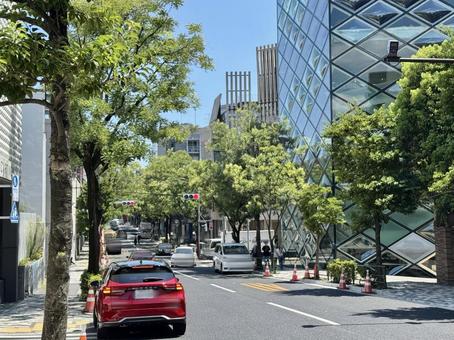表参道　御幸通り 表参道,御幸通り,フロムファースト通りの写真素材