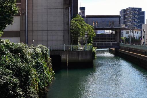 千葉市・都川と水門 千葉市・都川と水門 川,都市,都市風景の写真素材