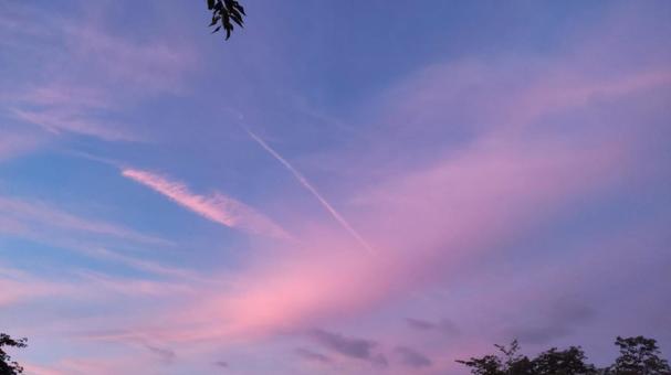 伏見川の空 伏見川の空の写真