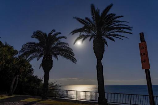 堀切峠で見た満月 夜景,夜,堀切峠の写真素材