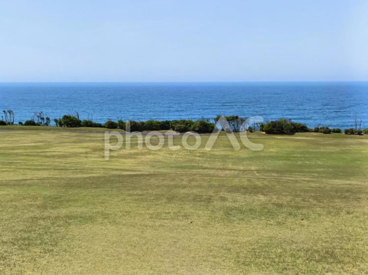広がる芝生と日本海 芝生,日本海,凪の写真素材