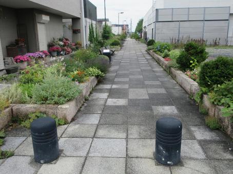 とある小路の写真