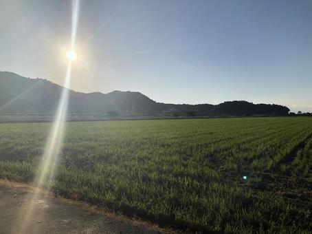 光と山 光と山の写真