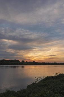 利根川の夕焼け 夕焼け,川,水面の写真素材
