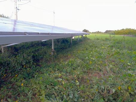 除草して太陽光発電効率を保つ 除草,太陽光発電,管理の写真素材