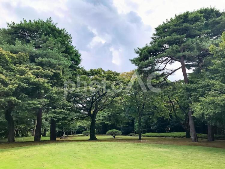 殿ヶ谷戸庭園（東京） 東京都,国分寺市,南町の写真素材