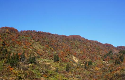25年　山古志紅葉 綺麗,きれい,空の写真素材