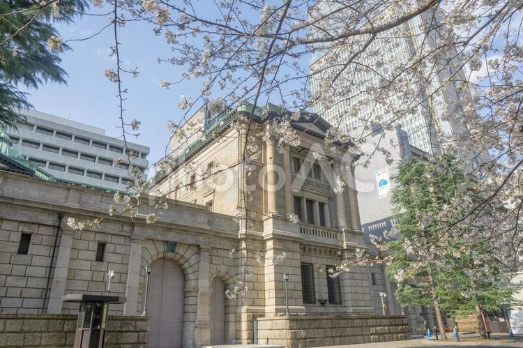桜満開の春の日本銀行本店 日本銀行本店本館,日本銀行本店,日本銀行の写真素材