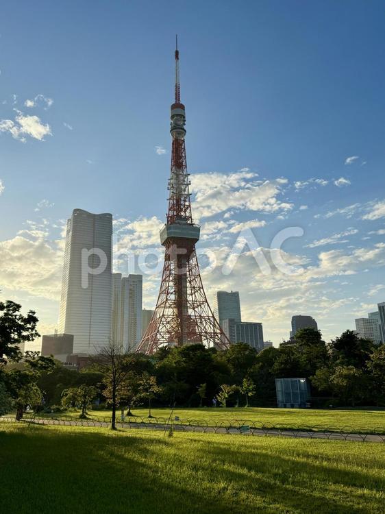 夕方　芝公園から見た東京タワー 鉄筋,空,晴天の写真素材