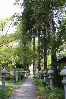 久安寺 境内 久安寺 境内 久安寺,境内,大澤山の写真素材