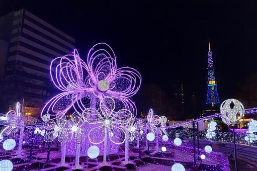 紫色に煌めく：光の花と札幌テレビ塔 イルミネーション,ホワイトイルミネーション,札幌の写真素材