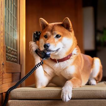 電話をかける犬 電話をかける犬の写真