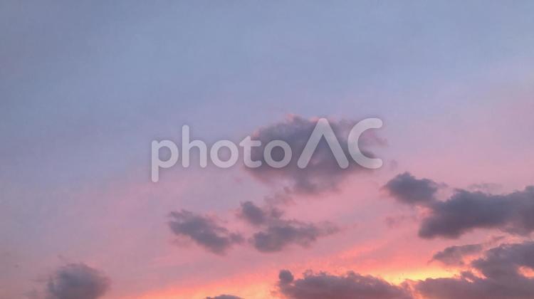 夕暮れの空 夕暮れ,空,ピンクの写真素材