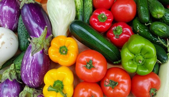 カラフルな緑黄色野菜 カラフルな緑黄色野菜の写真
