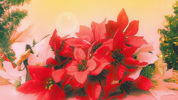 クリスマス11-2 クリスマス,オーナメント,ポインセチアの写真素材