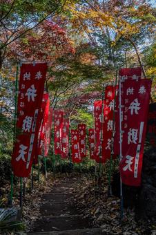 興禅院周辺の景色 興禅院周辺の景色の写真