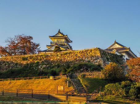 【静岡県】浜松市・浜松城 浜松城,浜松市,浜松城公園の写真素材