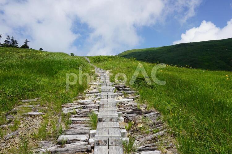 巻機山の木道　避難小屋と山頂の中間付近 巻機山,巻機,避難小屋の写真素材