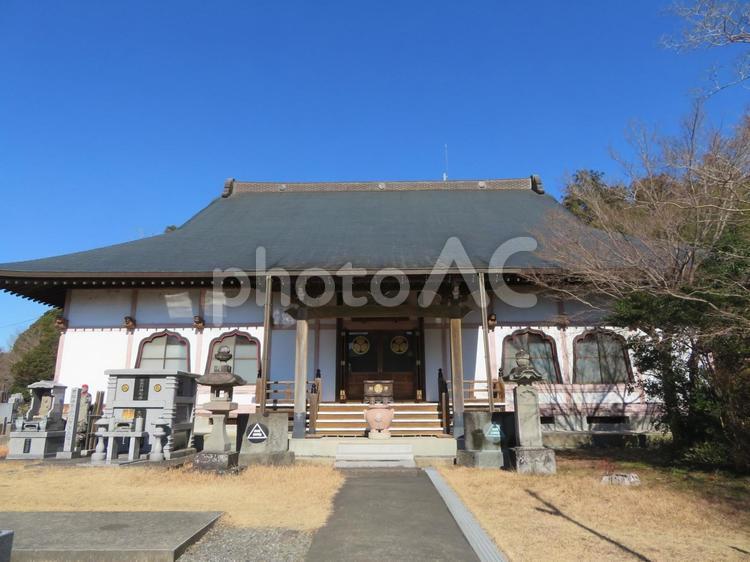 稲敷市大念寺本堂 大念寺,本堂,お寺の写真素材