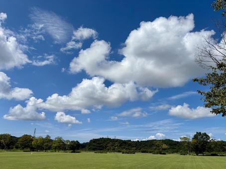青空の公園 青空の公園 空,晴れ,景色の写真素材