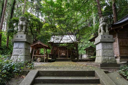 船迫熊野神社⑸ 船迫熊野神社⑸の写真