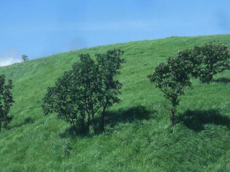 草原ボケ背景-57 草原ボケ背景-57の写真