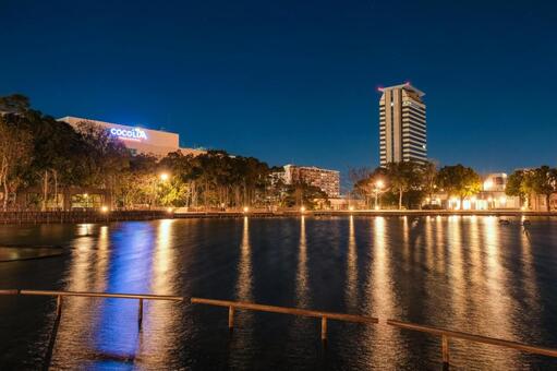 東京都多摩市 夜の多摩中央公園 多摩中央公園,多摩市,多摩の写真素材